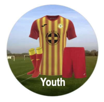 Walsham Le Willows FC Youth
