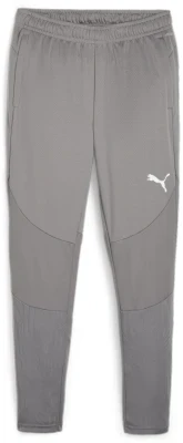 Puma teamFINAL Training Pants - Grey