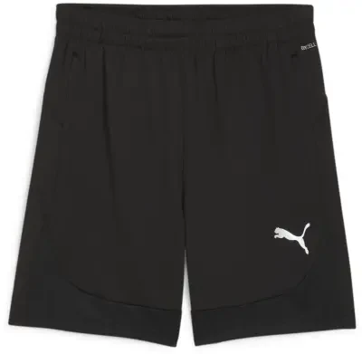 Puma teamFINAL Training Shorts - Black