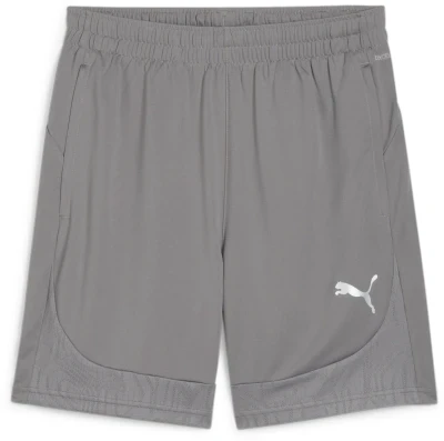 Puma teamFINAL Training Shorts - Grey