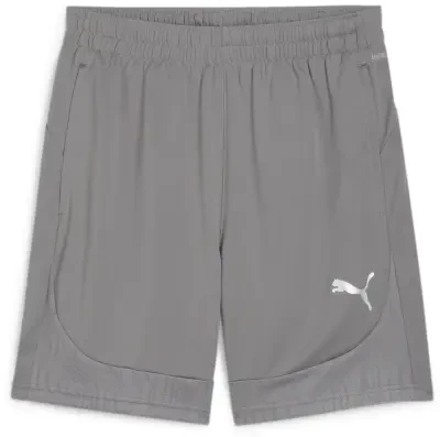 Puma teamFINAL Training Shorts