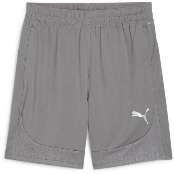 Puma teamFINAL Training Shorts - Grey