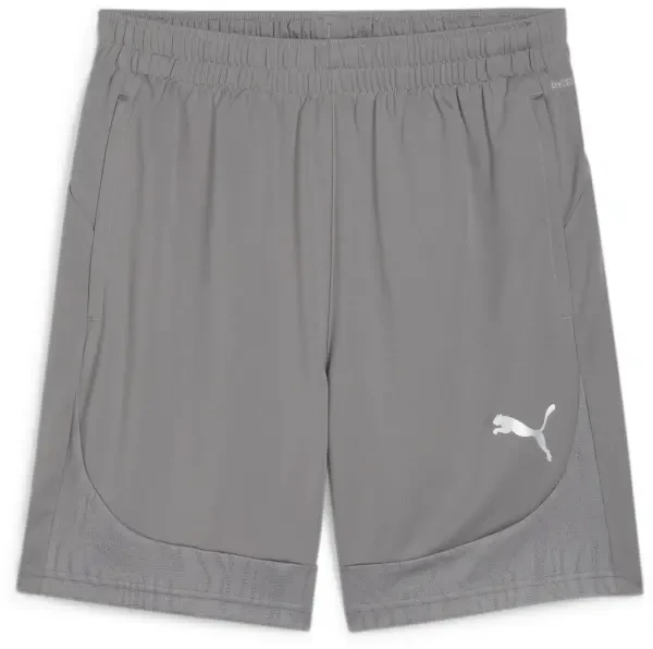 Puma teamFINAL Training Shorts - Grey