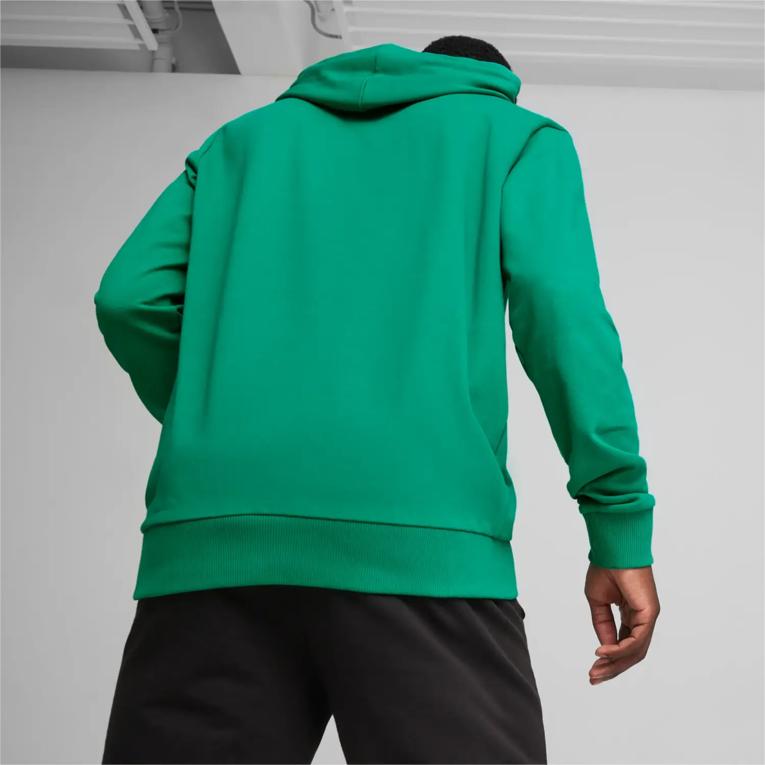 Puma teamGOAL Casuals Hoodie Sport Green Total Football Direct