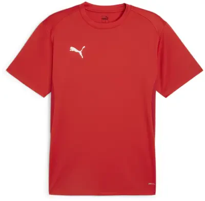 Puma teamGOAL Jersey