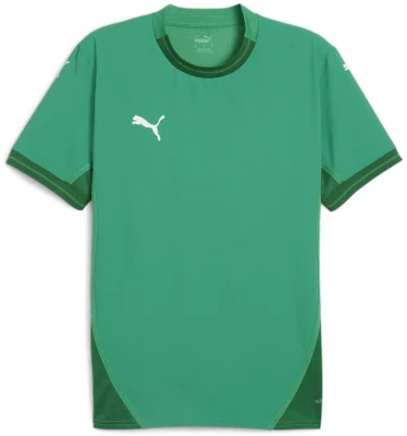 Puma teamFINAL Jersey - Sport Green
