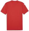 puma-pum-705740-01-backview.jpg
