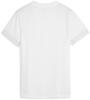 puma-pum-705749-04-backview.jpg