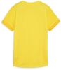 puma-pum-705749-07-backview.jpg