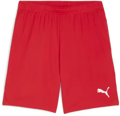 Puma teamGOAL Shorts - PUMA Red