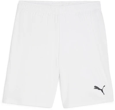 Puma teamGOAL Shorts - PUMA White