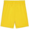 puma-pum-705752-07-backview.jpg