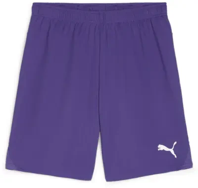 Puma teamGOAL Shorts Team Violet Total Football Direct