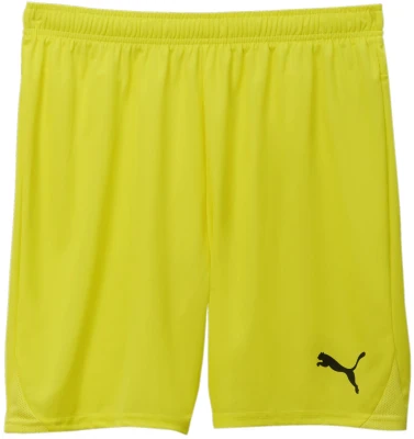 Puma teamGOAL Shorts - Fluro Yellow
