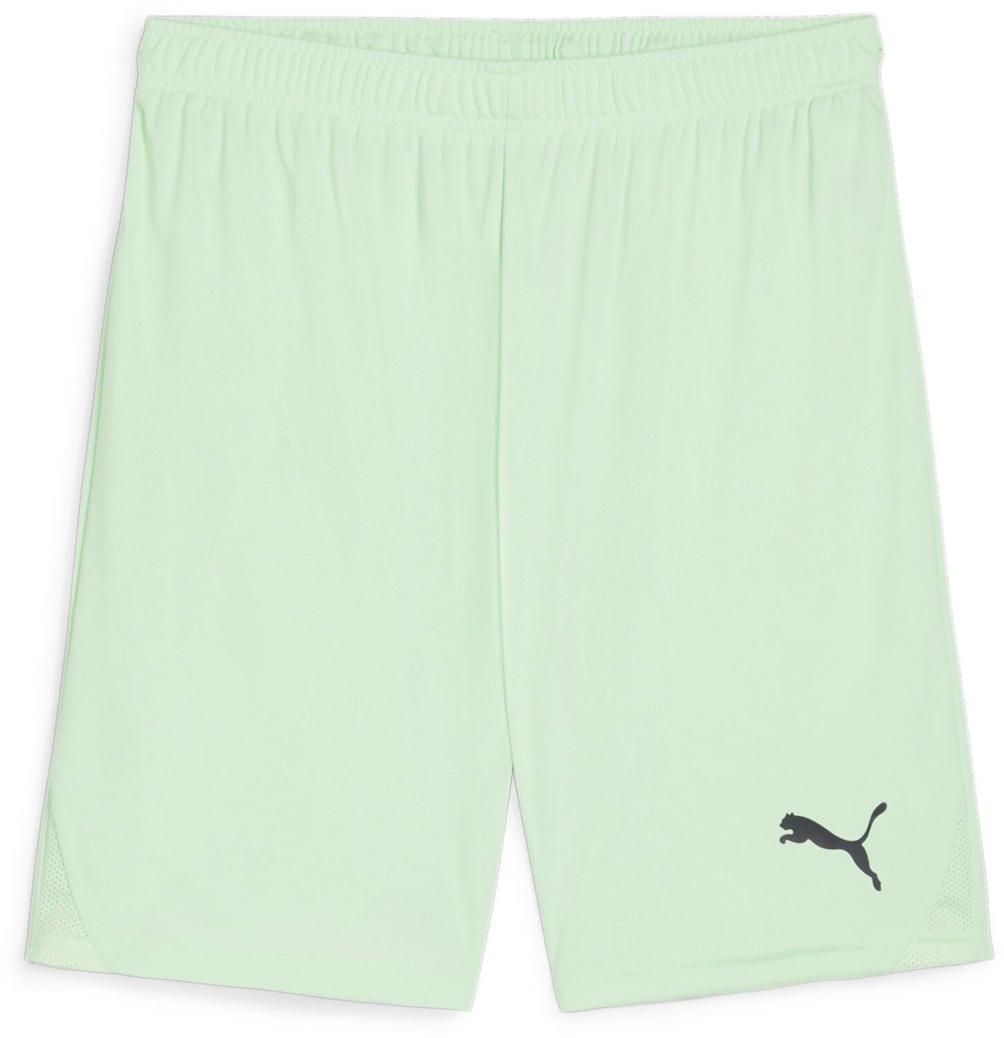 Puma teamGOAL Shorts Fresh Mint Total Football Direct