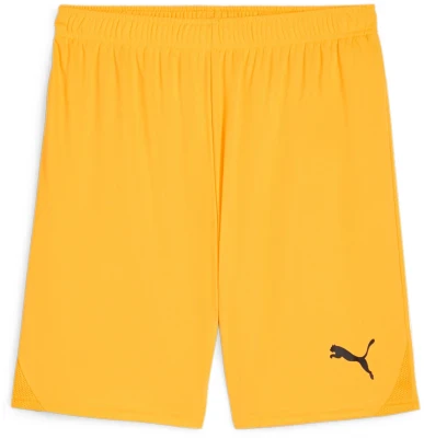 Puma teamGOAL Shorts
