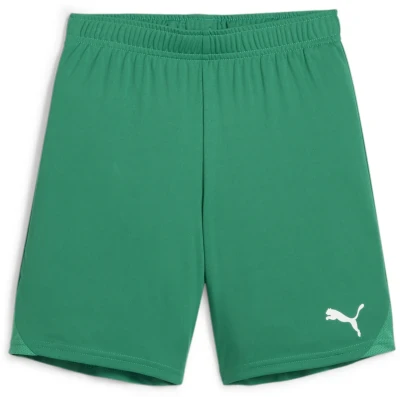 Puma teamGOAL Shorts - Sport Green