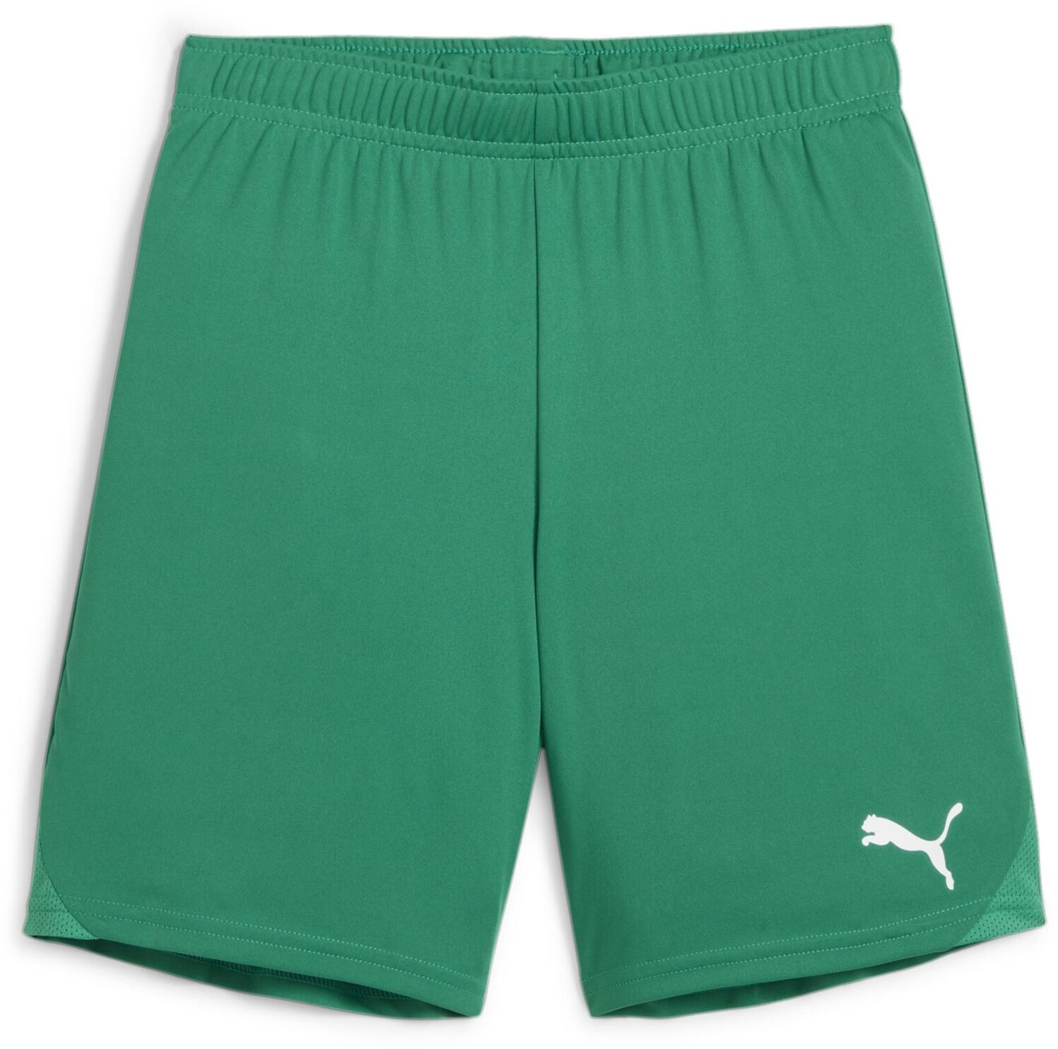Puma mesh shorts shop